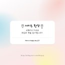 신혼베개/템퍼배게,'템퍼 소나타S/M' 사이즈 비교 및 베개커버 추천