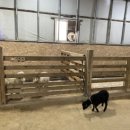 금계농장 | * 온동물체험농장 시흥 * 내돈내산 아이/조카랑 놀기 체험활동 주말 후기