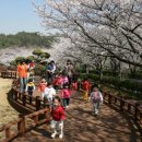 벚꽃주택 이미지