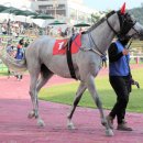 제이에스초이스 이미지