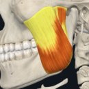 조은턱치과의원 이미지