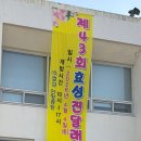 효성안양공장 앞 | 🌸 안양 효성공장 진달래 동산 급습(?)! 2026년 단 하루의 연분홍빛 기적 👧✨