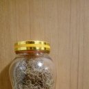 송라마을 이미지