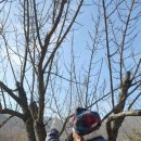 눈비산농산 영농조합법인 이미지