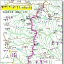 늘재