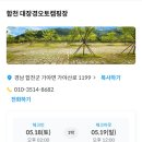 대장경오토캠핑장 이미지