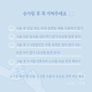 구씨샵 네이버블로그