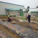 오산파출소 이미지