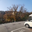 글림 | 갓 나온 빵을 먹을 수 있는 대장동브런치 맛집 글림 아기랑 방문 솔직후기