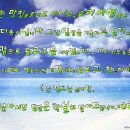 쭈니sea