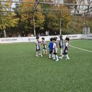 염기훈주니어축구클럽동탄