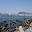 흰여울마을 Daum카페