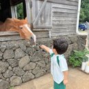 송림목장 이미지