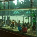 곡반초등학교 이미지