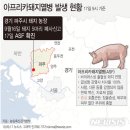 돼지아빠오리엄마
