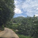 아띠카페 - 논산시 | 아띠카페