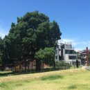 한국전통곰탕 이미지