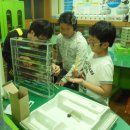 신백초등학교 이미지