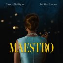 마에스트로 이미지