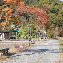 여울애꽃물들인 이미지