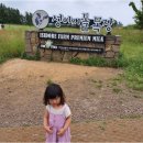 쌍둥이 목장 이미지