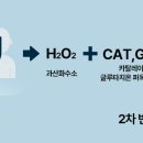 반석에스오디한의원 네이버블로그