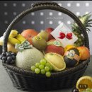 싱싱과일 이미지