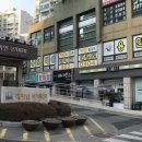 용인대 금메달 태권도장 이미지