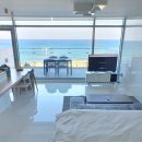 파니아토 이미지