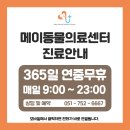 광안1동 수영로 메이동물의료센터 앞 | 광안리동물병원, 수영동물병원 메이동물의료센터 :: 강아지 방광결석 및 가슴 종양