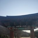 선운산작은도서관 | [고창] 뚜벅이 선운사사 템플스테이 후기(내돈내산)