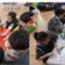 솔가람유치원 이미지