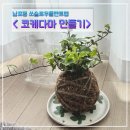 플랜트 | 남포동데이트 코케다마 만들기 쏘슬로우플랜트랩 식집사 후기