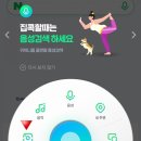 에이티엔 | 동남쪽뱃길따라팔칠케이제7탄 울릉도 뷰가좋은숙소 오징어회맛후기