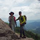 영산포홍어거리 이미지