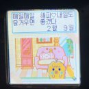 썸퍼플 이미지