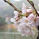 청룡저수지 이미지