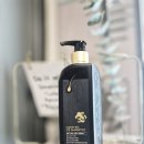 주식회사 비전바이오케어 | 두피관리 시작 카론바이오 C3 샴푸 후기 정수리탈모 약산성 샴푸 추천