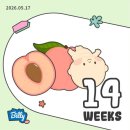 준호네복숭아 | 임신 16주 성별 확인 후기 | 2차 기형아검사 결과 장꾸맘 성별 | 14-17주 기록