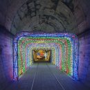 고모산성(오미자 테마터널) 이미지