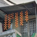 원진어린이집 이미지