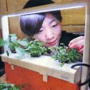 청정농업연구원
