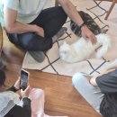 고영주택 | 고영주택 방문 후기!고양이 귀엽네~♡