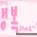 홍진여행사 Daum카페