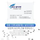 대진초교 앞 이미지