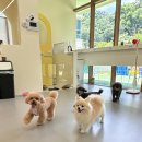 헬로우버디 광교점 이미지