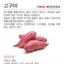 탑스동물메디컬센터