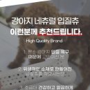 [강아지 이갈이장난감 추천] 고냥냥개냥냥 내츄럴 입뚝츄 장난감 후기