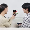 대상펫라이프(주) 이미지