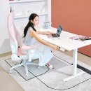 오비스디자인 | 제닉스 오비스 모션데스크 EL 전동 높이조절 책상 사용 후기와 추천!